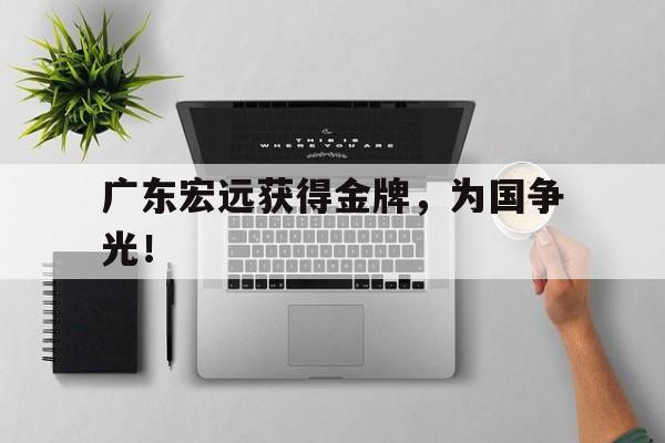 开云手机版登录入口-广东宏远获得金牌，为国争光！