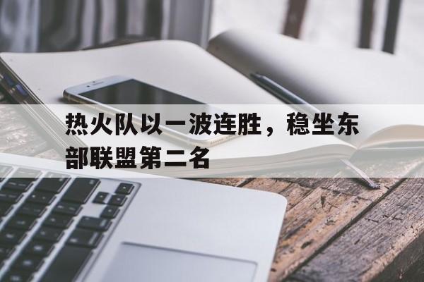 开云手机版登录入口-热火队以一波连胜，稳坐东部联盟第二名